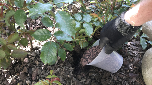 Concimazione - Il Dottore Delle Piante - Esperto Agronomo